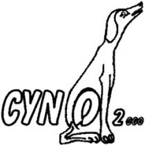 CYN O 2000