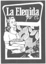 La Elegida por ti