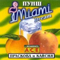 Miami Dream