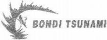 Bondi Tsunami
