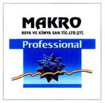 MAKRO BOYA VE KIMYA SAN.TIC.LTD.STI. Professional