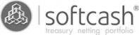 softcash treasury netting portfolio