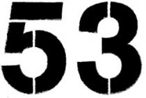 53