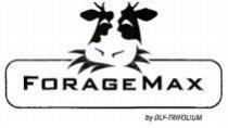 FORAGEMAX by DLF-TRIFOLIUM