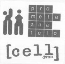 pro meta ana telo (cell) dvsn
