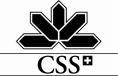 CSS