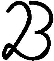 23