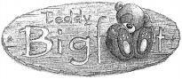 Teddy Bigfoot