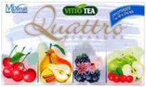 VITTO TEA Quattro PLEASURE Mixfruit FRUIT TEA FLAVOURED premiun selection