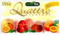 VITTO TEA Quattro PLEASURE Mixfruit FRUIT TEA FLAVOURED fresh selection