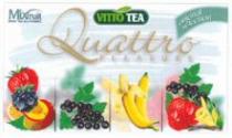 VITTO TEA Quattro PLEASURE Mixfruit FRUIT TEA FLAVOURED original selection