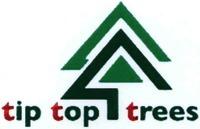 tip top trees