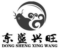 DONG SHENG XING WANG