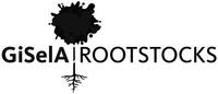 GiSelA ROOTSTOCKS