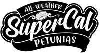 ALL-WEATHER SuperCal PETUNIAS