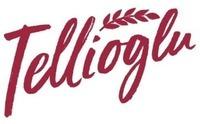 Tellioglu
