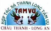 TAM VU HÓP TÁC XÃ THANH LONG TÂM VU CHÂU THÀNH - LONG AN