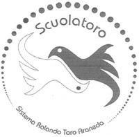 Scuolatoro Sistema Rolando Toro Araneda