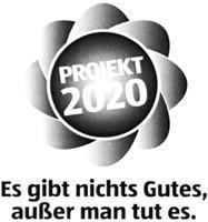 PROJEKT 2020 Es gibt nichts Gutes, außer man tut es.
