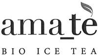 ama_tè BIO ICE TEA