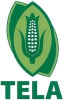 TELA