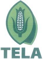 TELA
