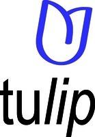 tulip