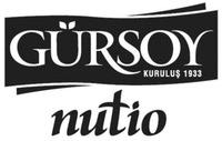 GÜRSOY KURULUŞ 1933 nutio