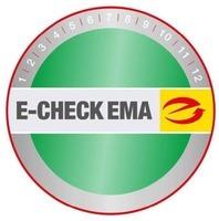 E-CHECK EMA 1 2 3 4 5 6 7 8 9 10 11 12
