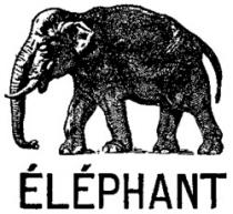 ÉLÉPHANT