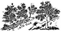 RIO OJA