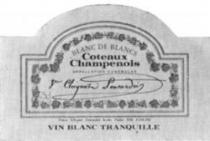 BLANC DE BLANCS Coteaux Champenois Vve CLICQUOT PONSARDIN