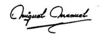 Miguel Manuel
