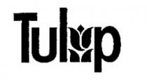 Tulip