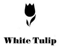 White Tulip