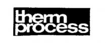 therm process