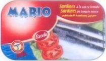 MARIO Sardines à la sauce tomate Sardines in tomato sauce
