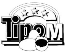 Tipo M