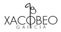 93 XACOBEO GALICIA