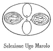 Selezione Ugo Marolo