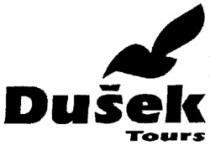 Dusek Tours