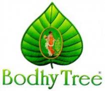 Bodhy Tree