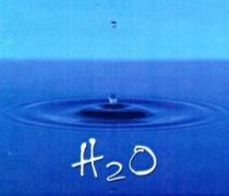 H2O