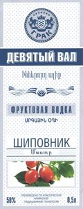 ԻՆՆԵՐՈՐԴ ԱԼԻՔ ՄԱՍՈՒՐ ДЕВЯТЫЙ ВАЛ ШИПОВНИК ГРАК