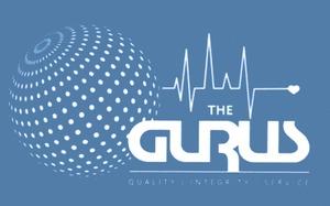 THE GURUS QUALITY INTEGRITY SERVICE