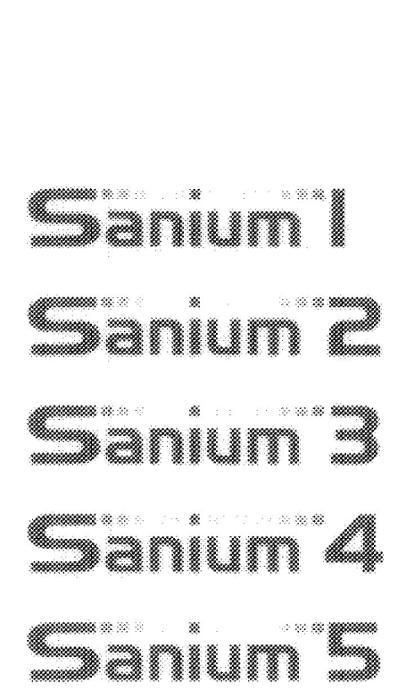 SANIUM 1;SANIUM 2;SANIUM 3;SANIUM 4;SANIUM 5