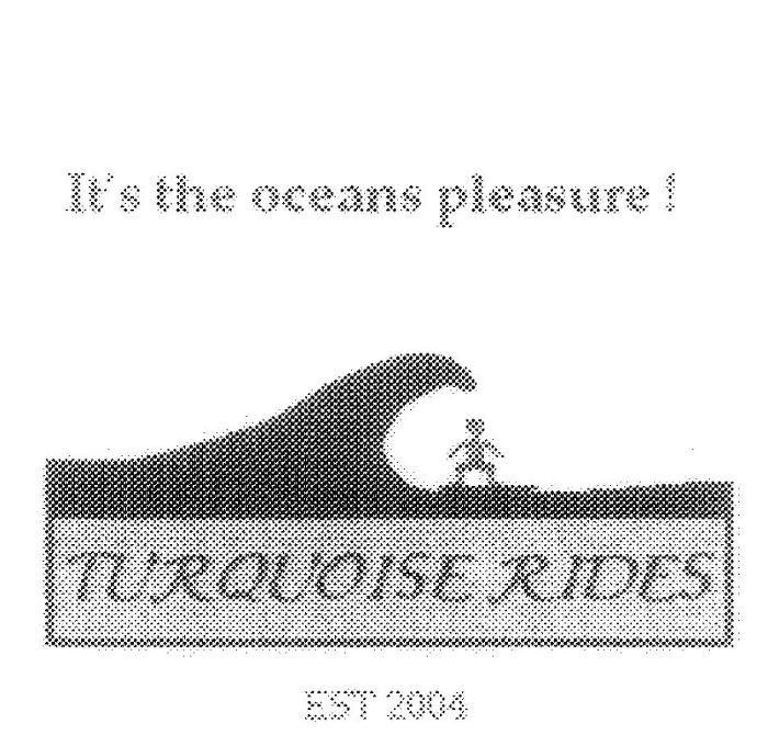 TURQUOISE RIDES EST 2004 ITS THE OCEANS PLEASURE!
