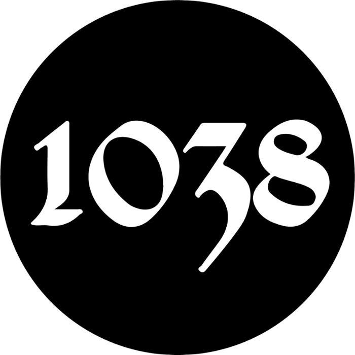 1038
