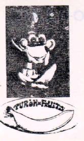 TURON-FRUITS