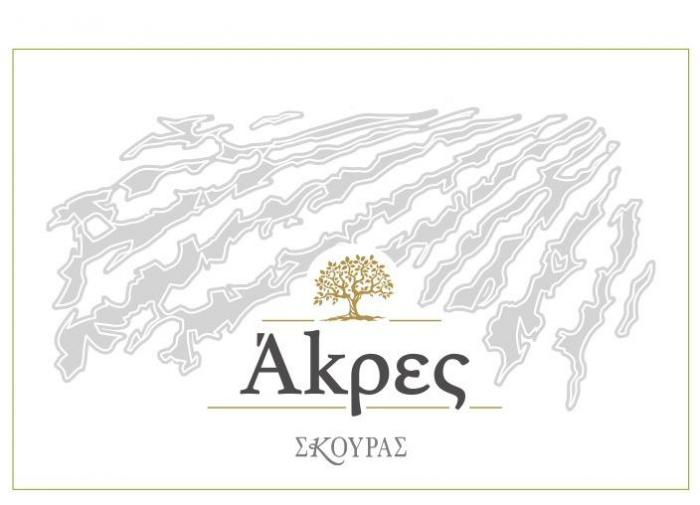 Άκρες ΣΚΟΥΡΑΣ